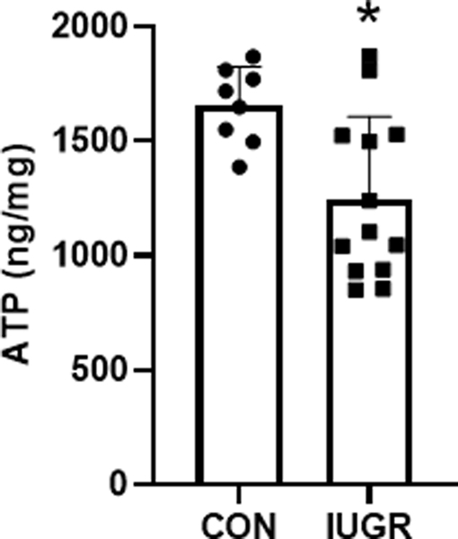 Figure 7.