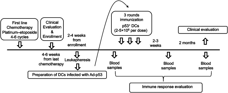 Fig. 1