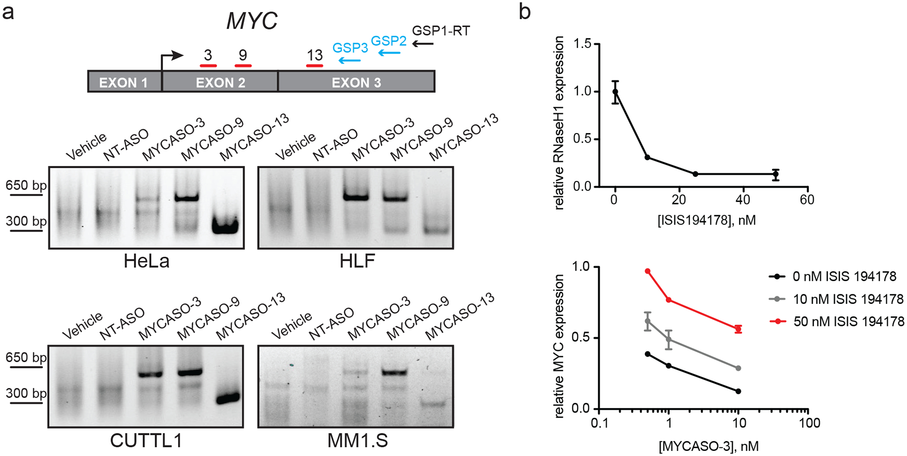 Figure 3: