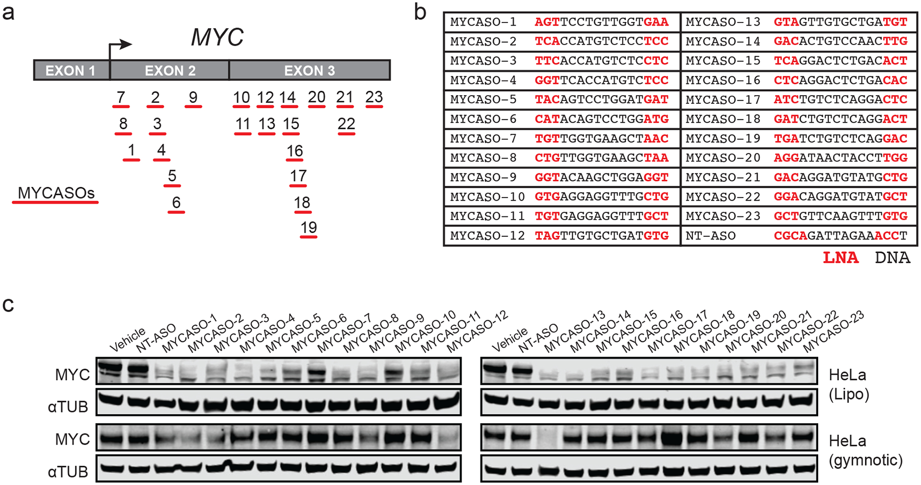 Figure 1: