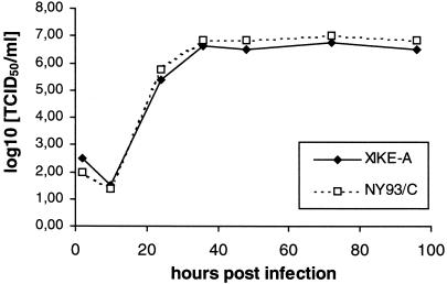 FIG. 2.