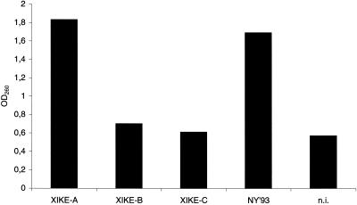 FIG. 6.