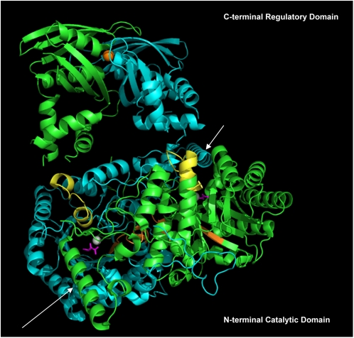 Figure 2.