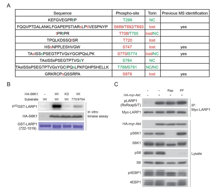 Figure 2—figure supplement 1.