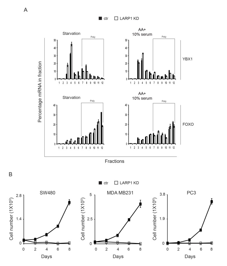 Figure 7—figure supplement 1.