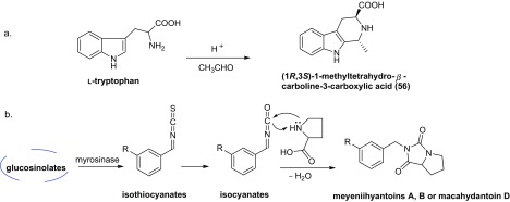 Scheme 3