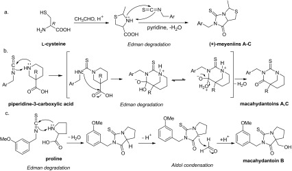 Scheme 2