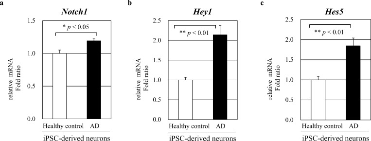 Fig 5