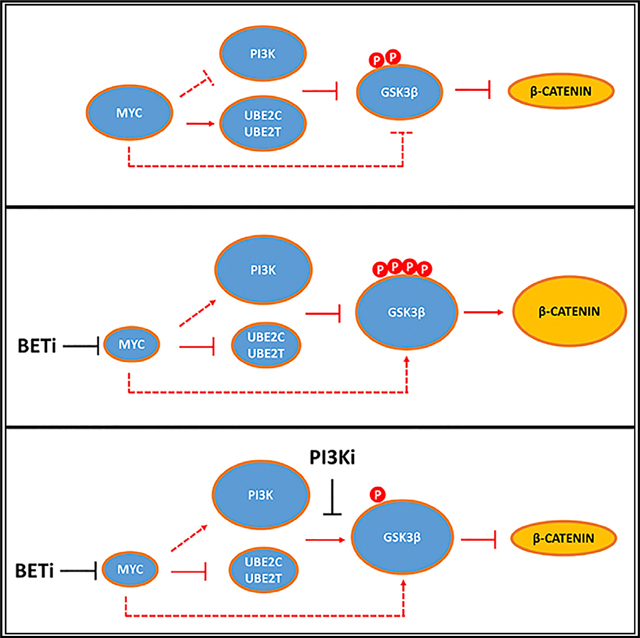 graphic file with name nihms-1051720-f0008.jpg