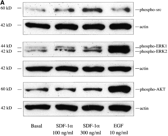 Figure 10.