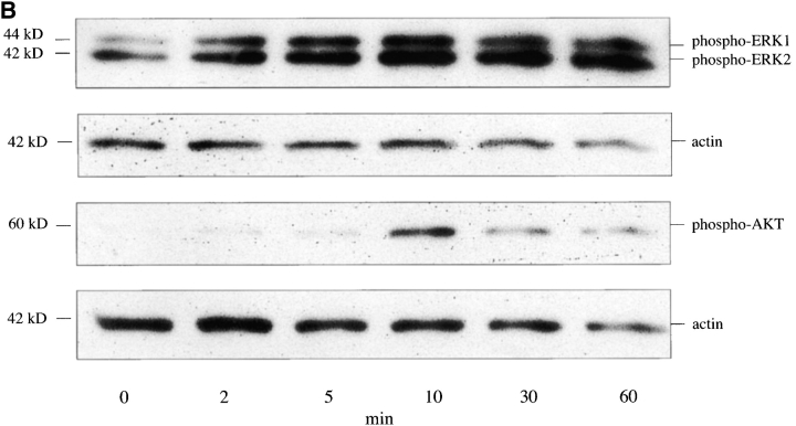 Figure 10.