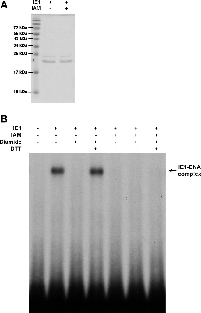 FIG. 6.