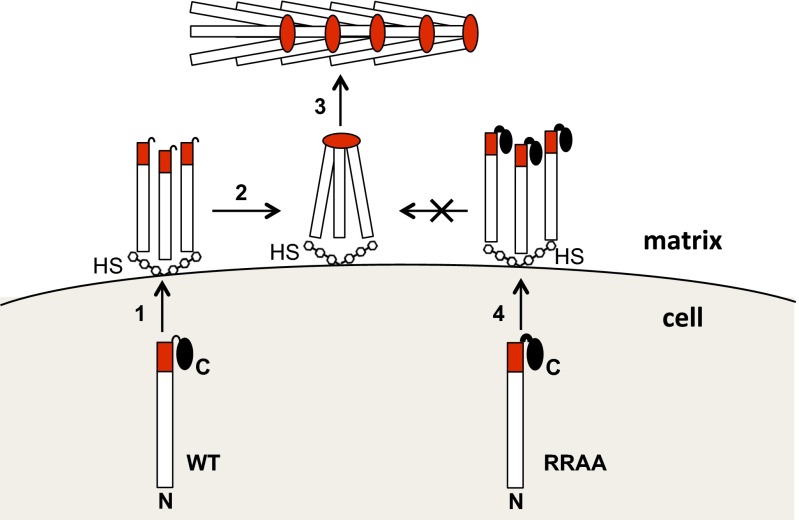 Fig. 6.