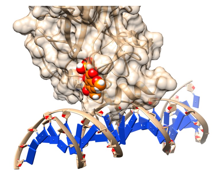 Figure 5