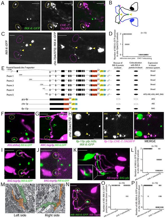 Fig. 4: