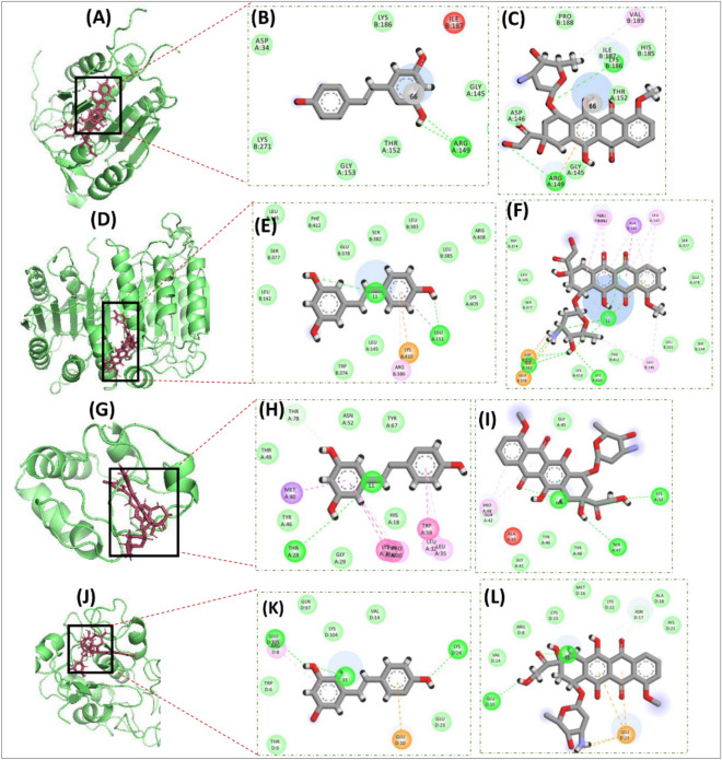 Figure 12