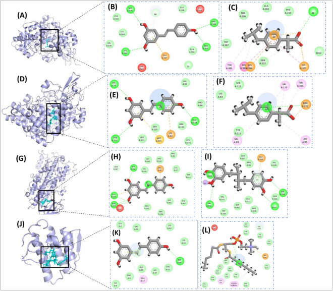 Figure 13