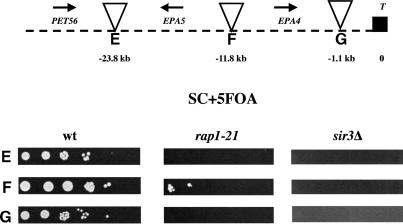 Figure 6.