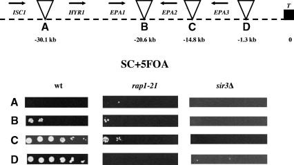 Figure 6.