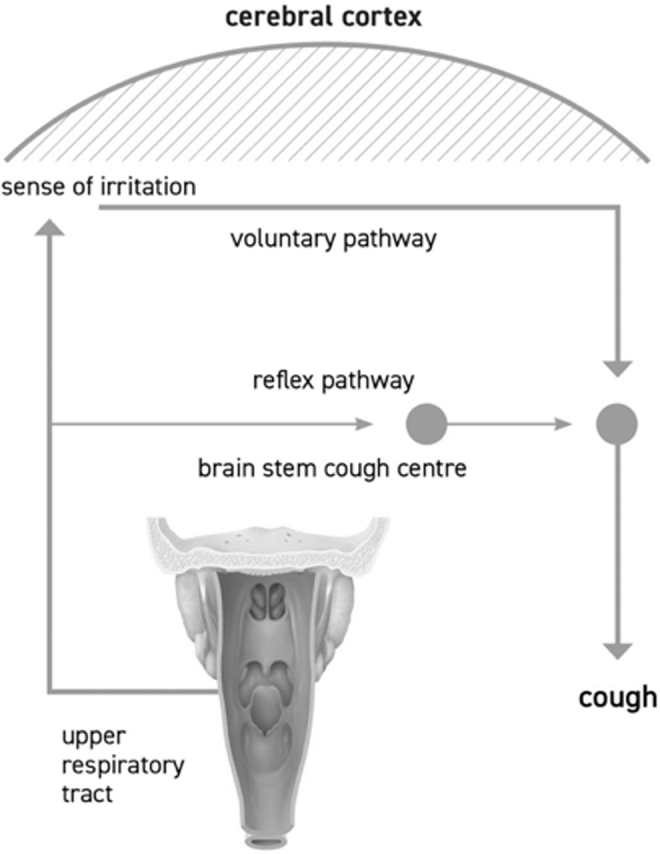 FIG. 1.