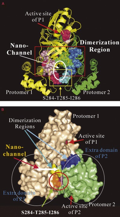 Figure 6