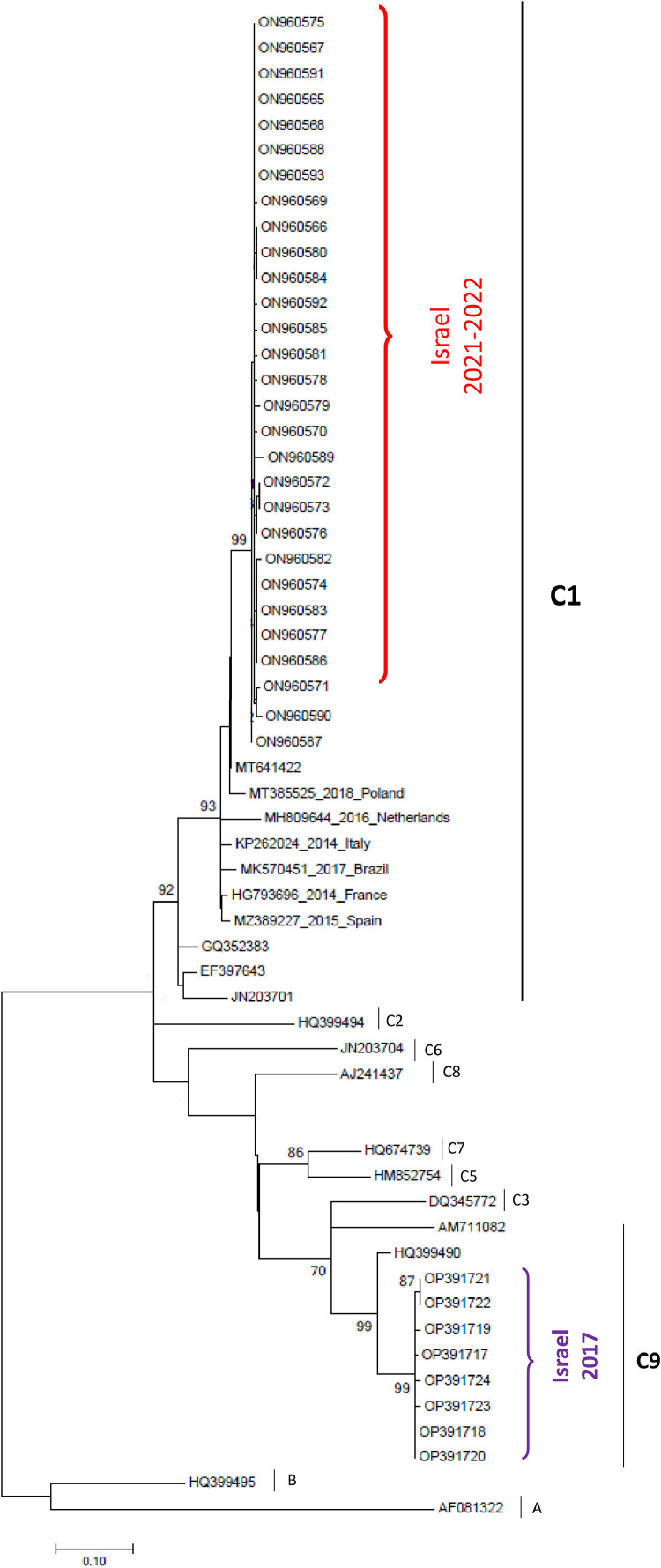 Fig 3