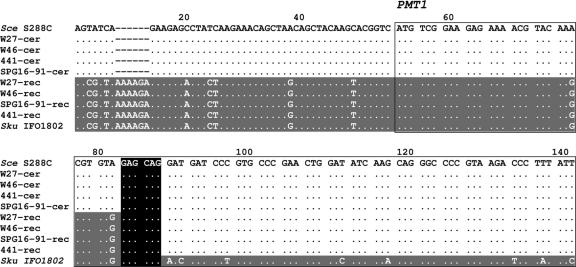 FIG. 6.