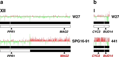 FIG. 2.