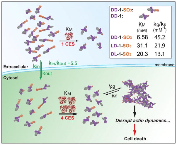 Scheme 2