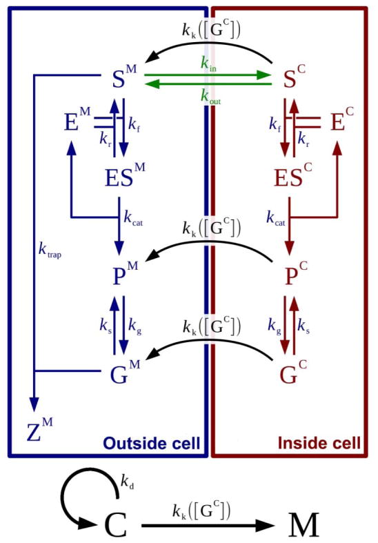 Scheme 3