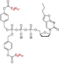 Fig. 11