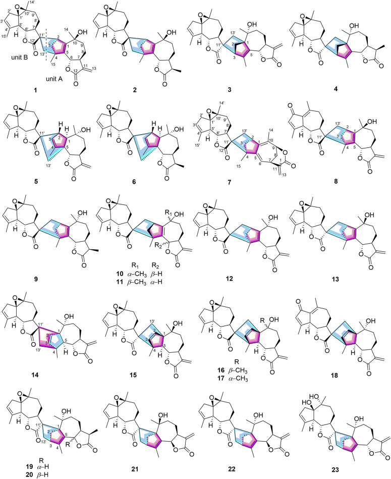 Figure 1