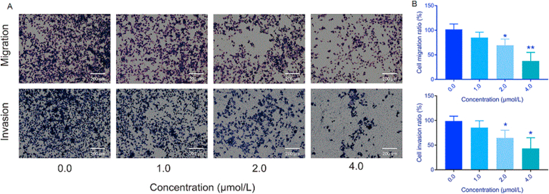 Figure 7