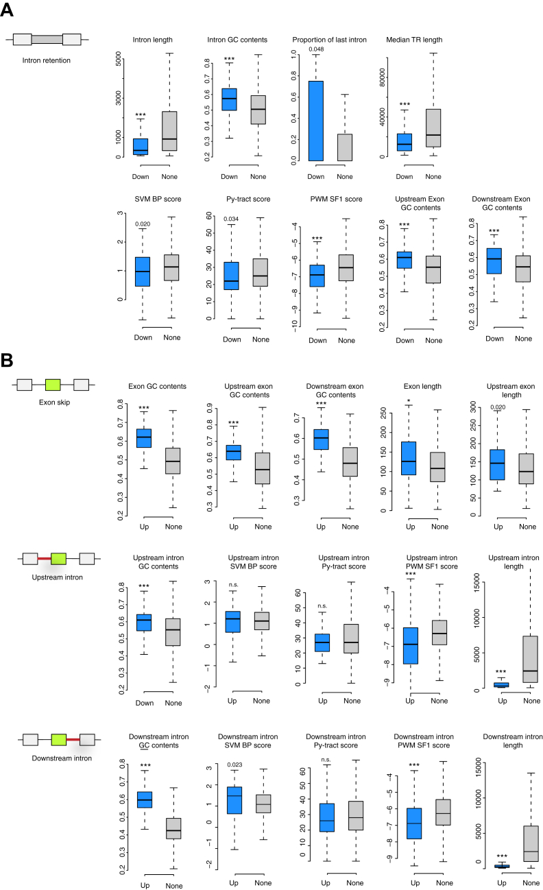 Figure 4