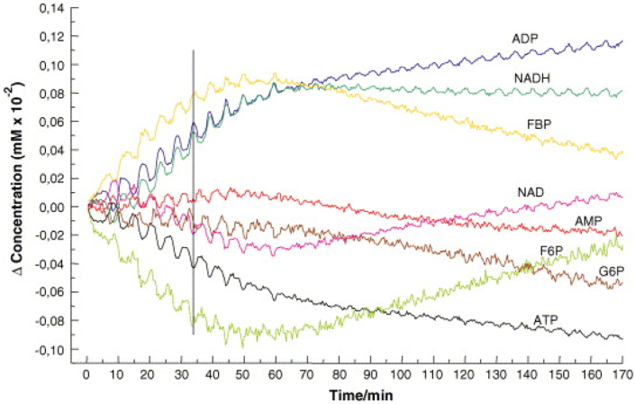 Figure 5