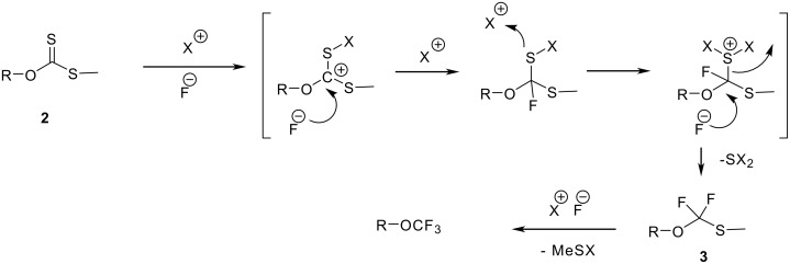 Scheme 6