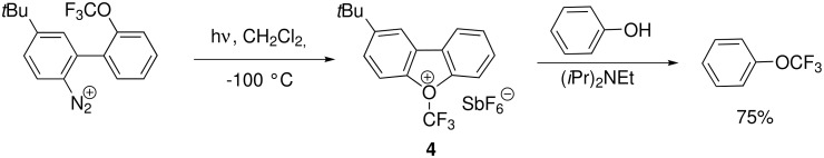 Scheme 7