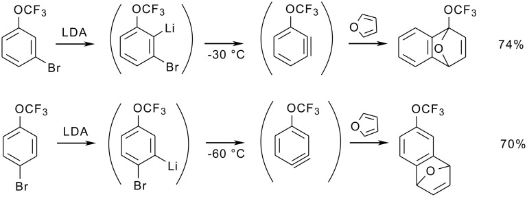 Scheme 19