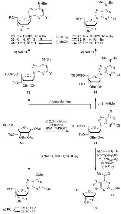 Scheme 5