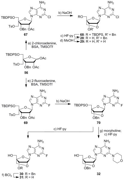 Scheme 4