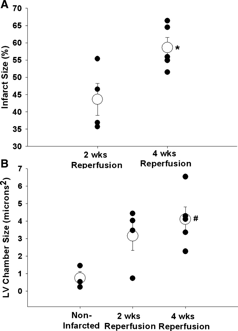 Fig. 12.