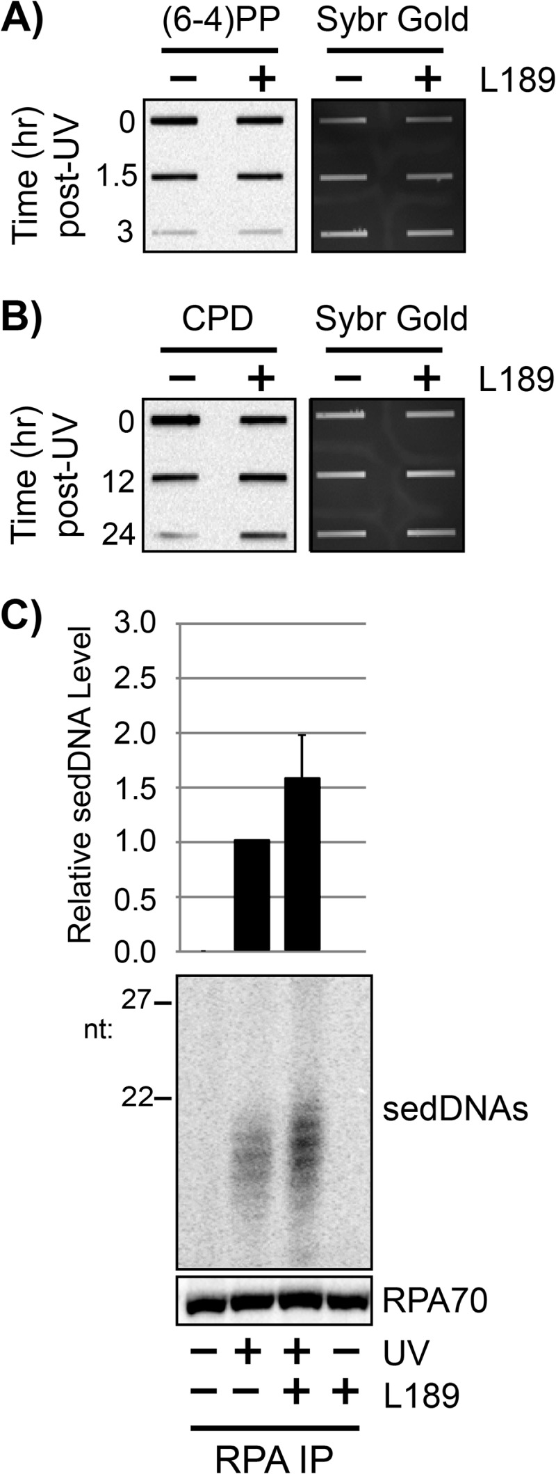 FIGURE 7.