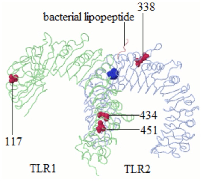 Fig 3