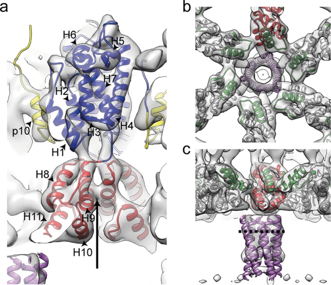 FIG 3