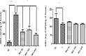 Fig 7