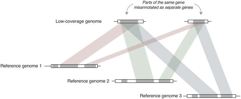 Figure 2: