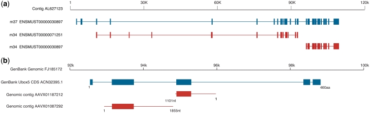 Figure 5: