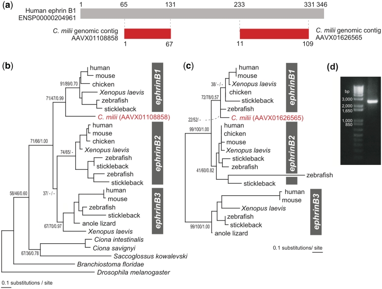 Figure 6: