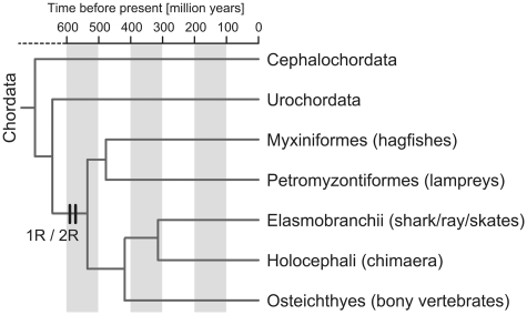 Figure 1: