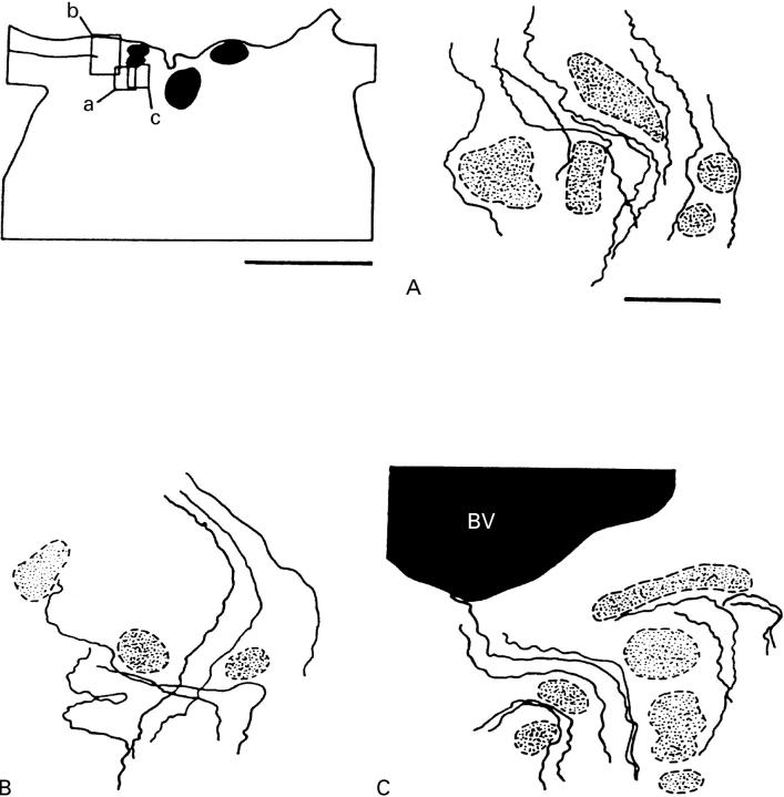 Figure 1  